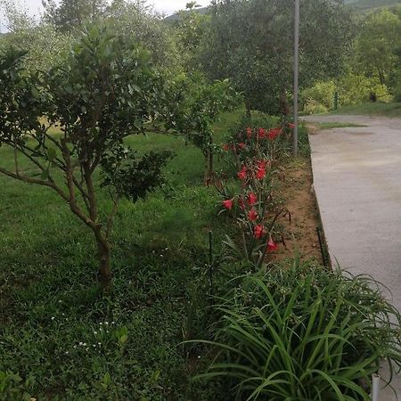 Apartman Petovic Kotor Buitenkant foto