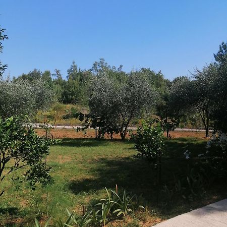 Apartman Petovic Kotor Buitenkant foto